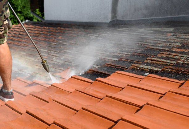 Best Deck Cleaning Services  in Tolono, IL