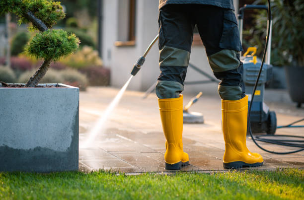 Best House Pressure Washing  in Tolono, IL